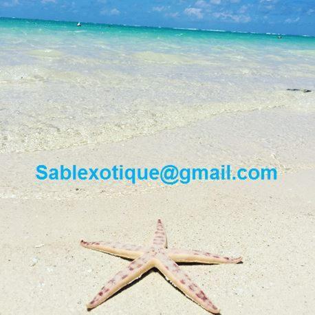 Apartamento Sablexotique Pointe d'Esny Exterior foto